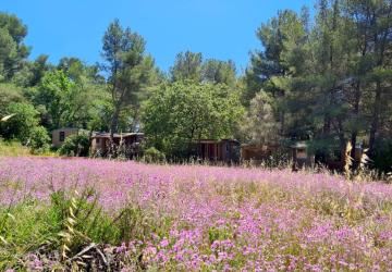 Camping Le BeauVezé ****