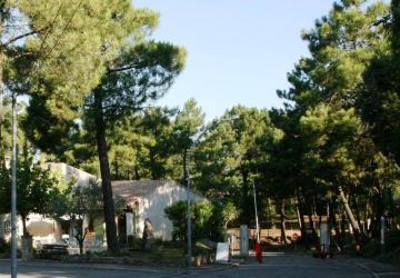 Camping La Pinède en Provence