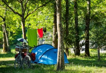 CAMPING LES PLATANES