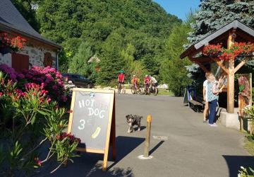 Camping La Forêt