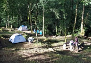 Camping La Forêt